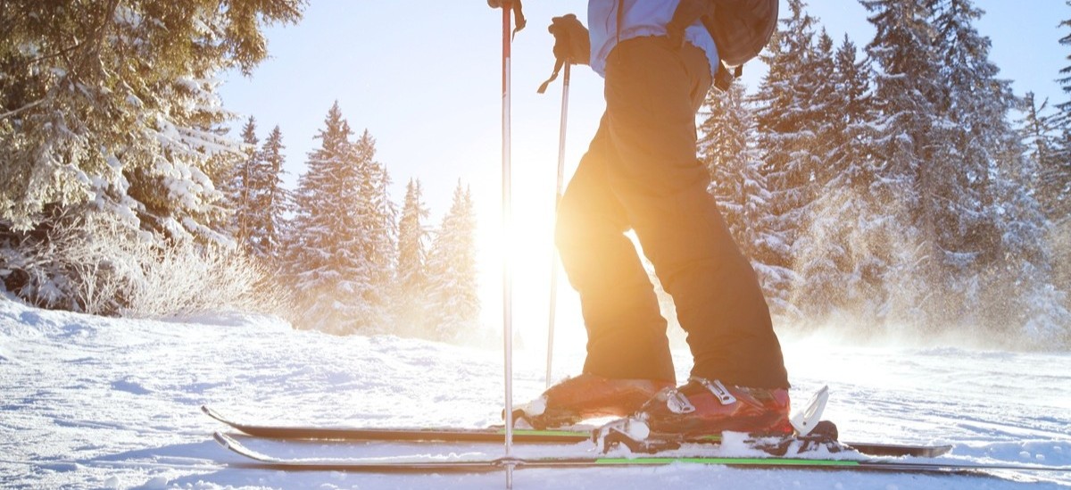 close up of skiers legs and skis on the snow in golden light
