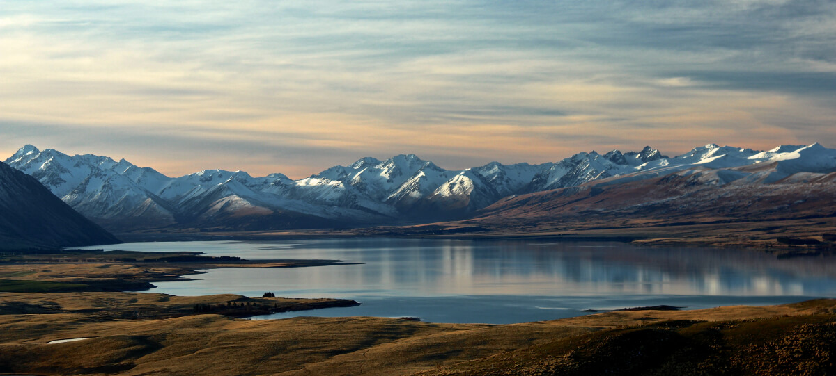 new-zealand-investor-visa