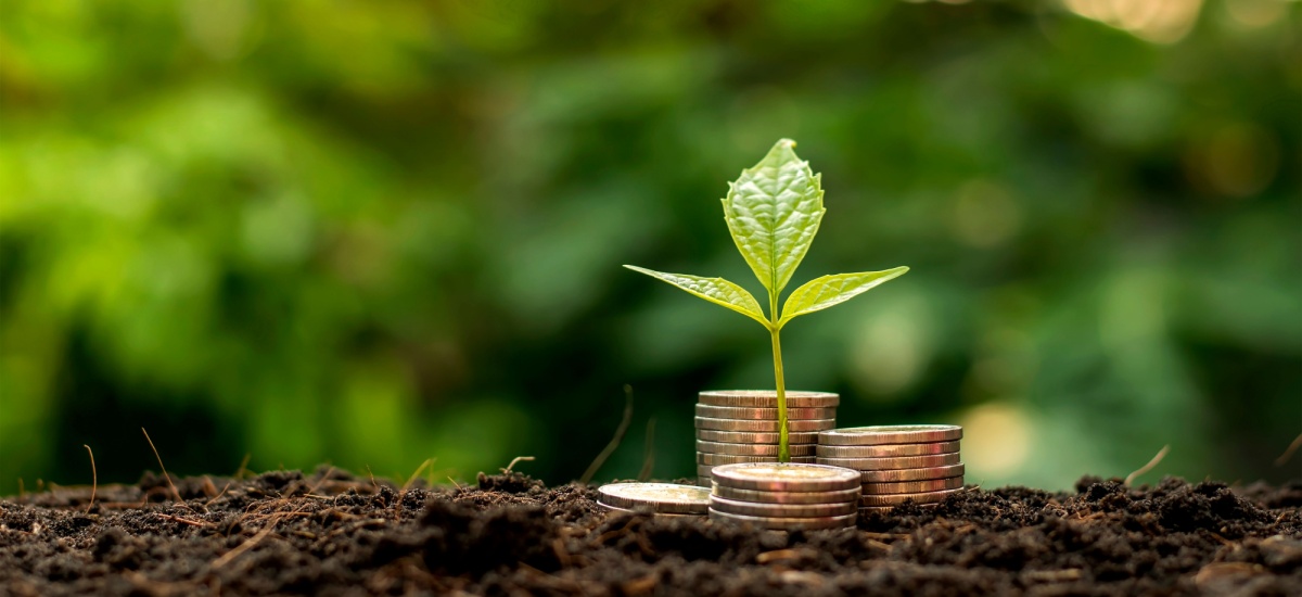 plant-growing-from-ground-surrounded-coins