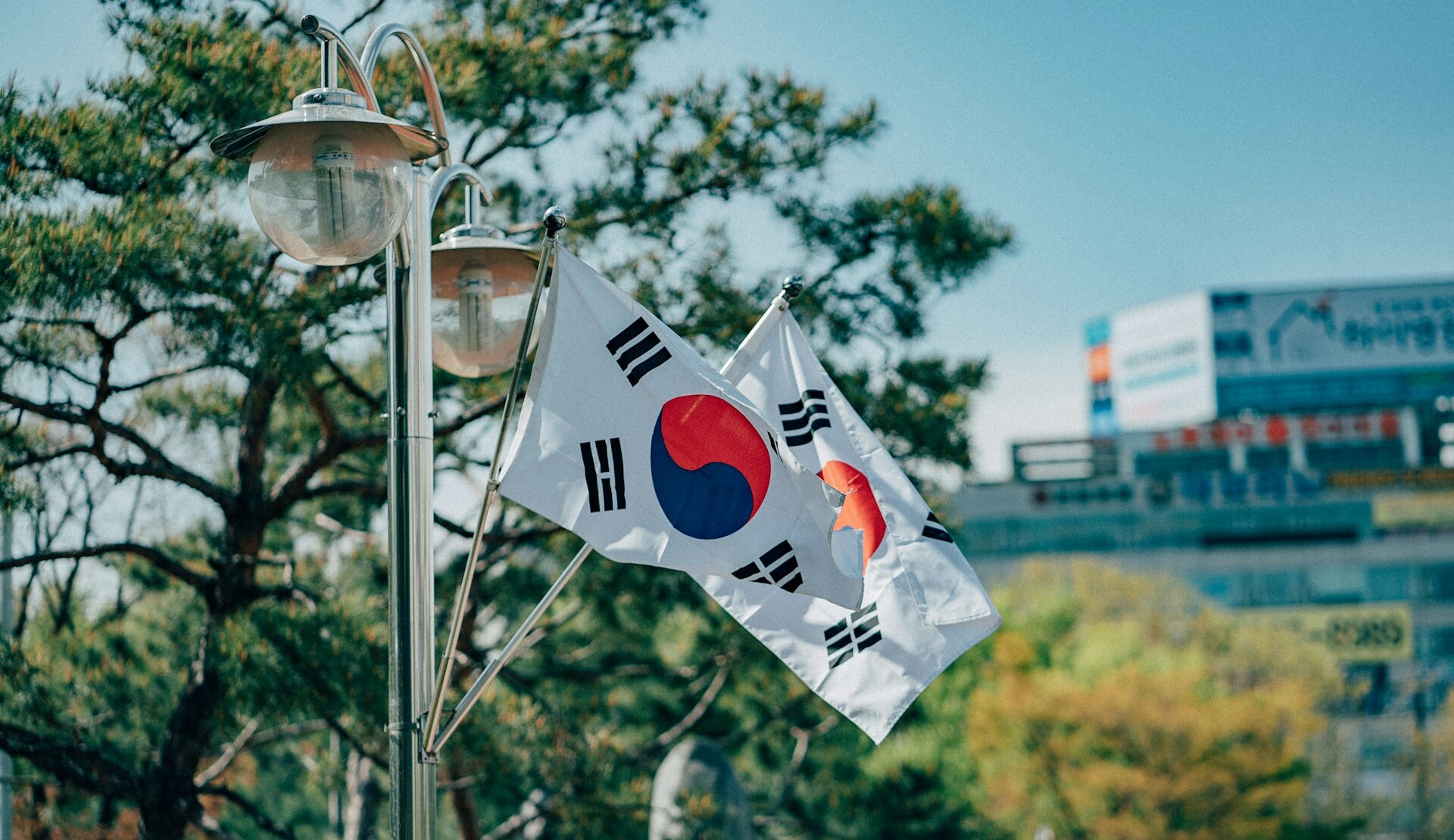 韓国のキャッシュレス事情:普及率やトレンド