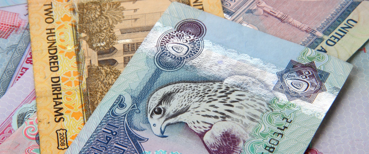 UAE dirham notes