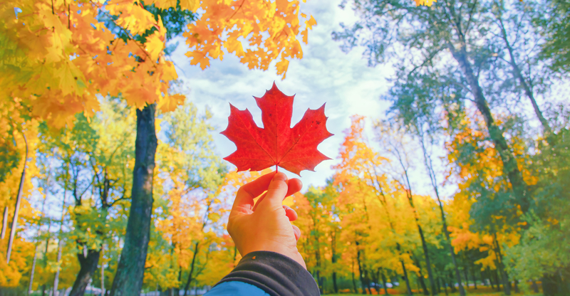 カナダ について