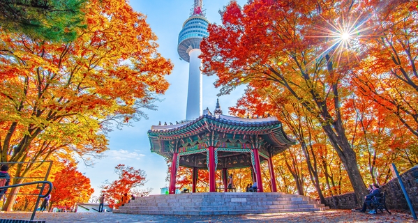 韓国旅行に海外旅行保険加入は必要？