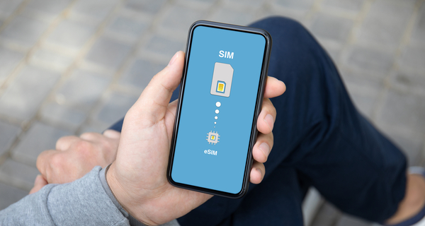 データローミング以外の賢い選択肢：eSIM、現地SIM、Wi-Fiレンタル