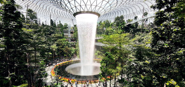 SGアライバルカード（SG Arrival Card）とは？