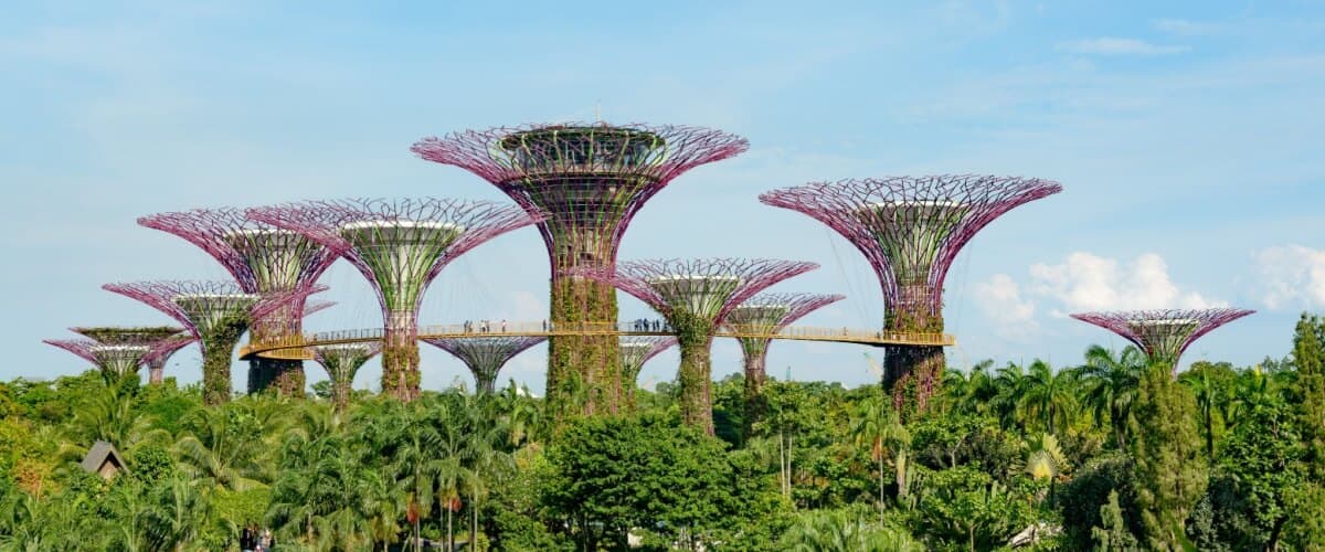 Supertree Aussichtsplattformen in Singapur