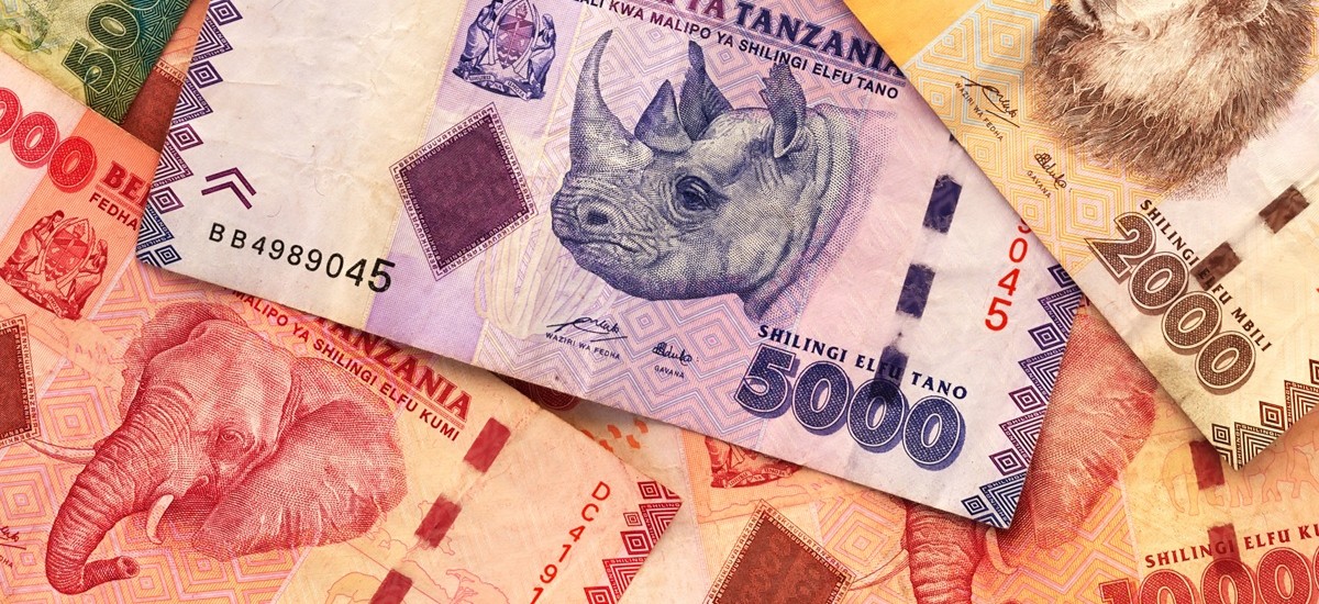 Tanzanian shilling notes
