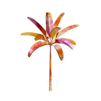 Send the money from your online banking