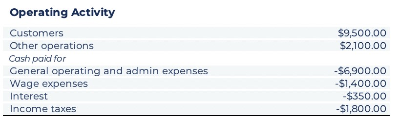 operating-activity-cash-flow-statement-wise