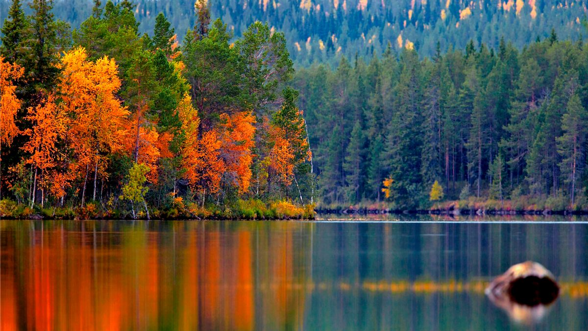 pereezd-v-finlyandiu