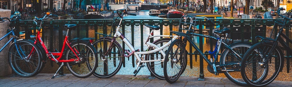 teendoid-hollandiaban