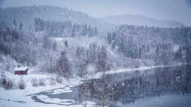 landschap-ramsele-zweden