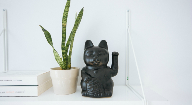 Come impostare PayPal per ricevere pagamenti