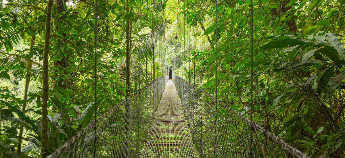 monteverde