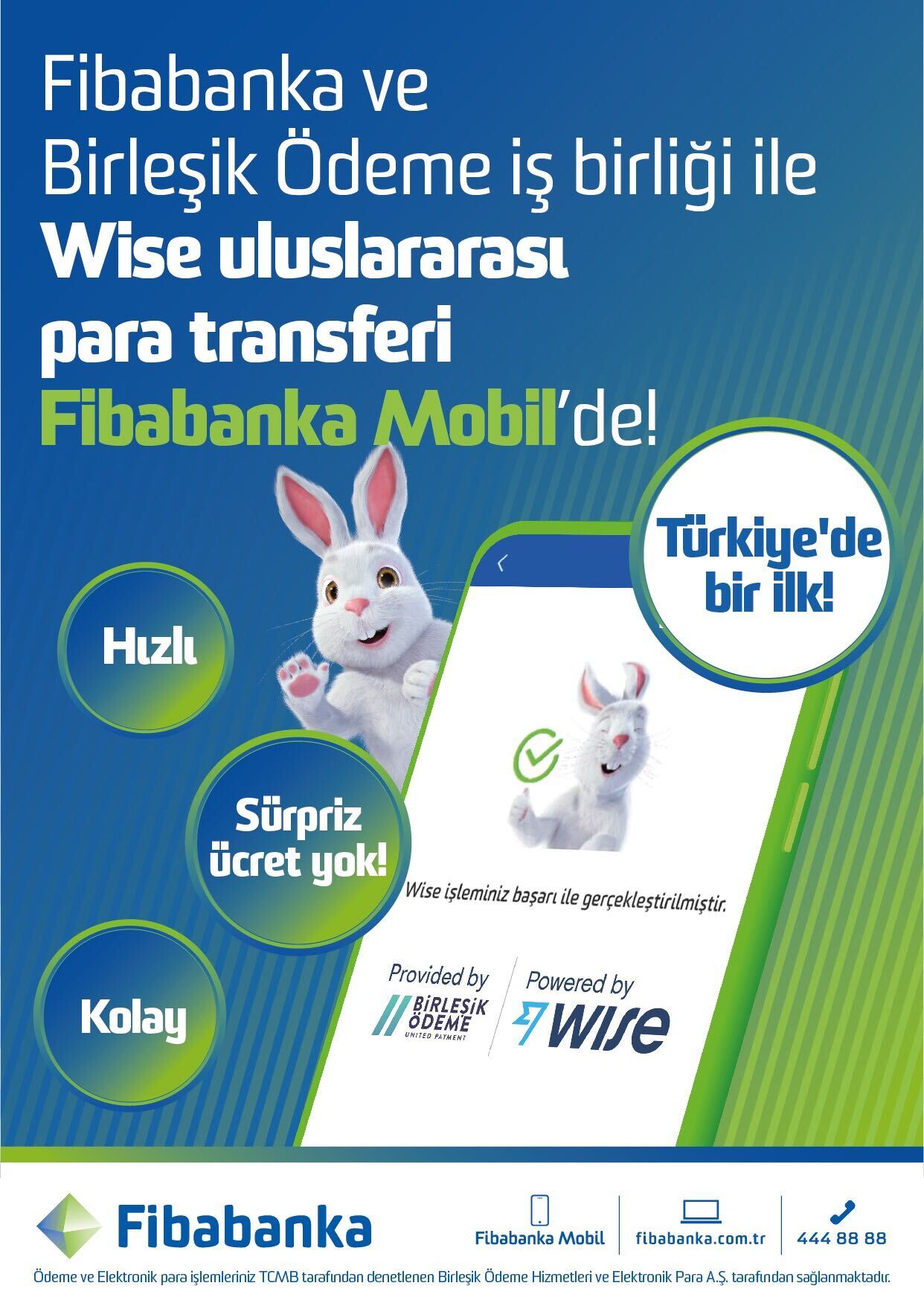Wise Platform partners with Birlesik Odeme