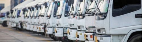 firma-transport-international