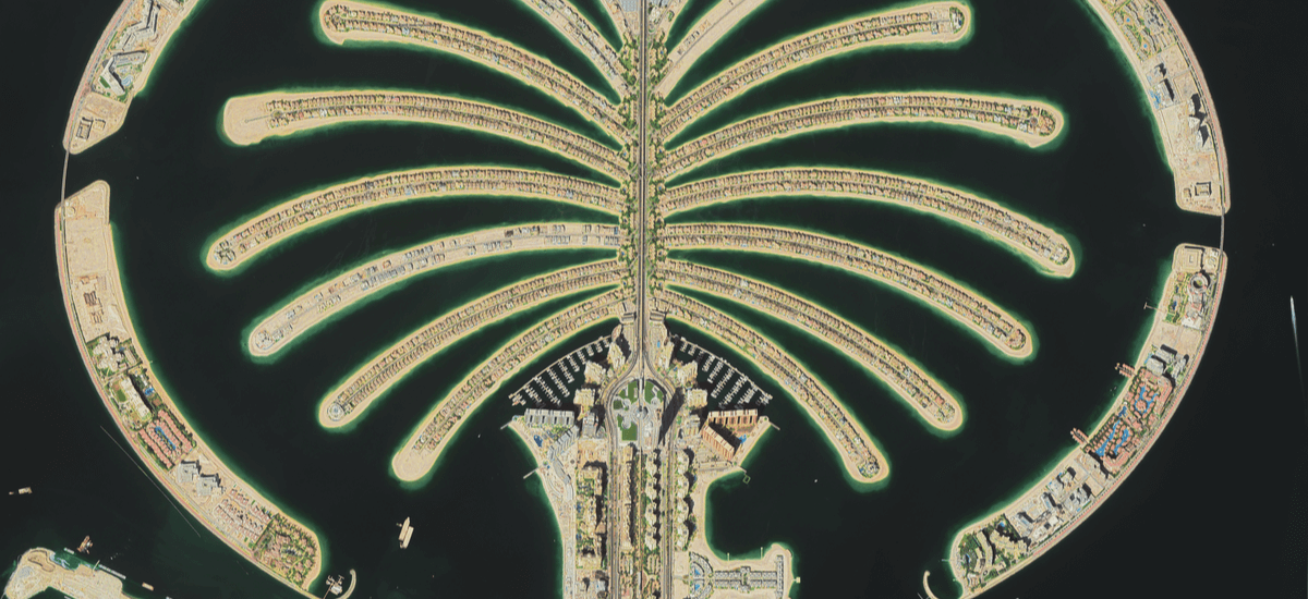 the palm dubai von oben