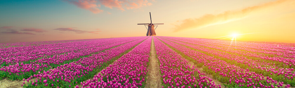 teendoid-celorszagban