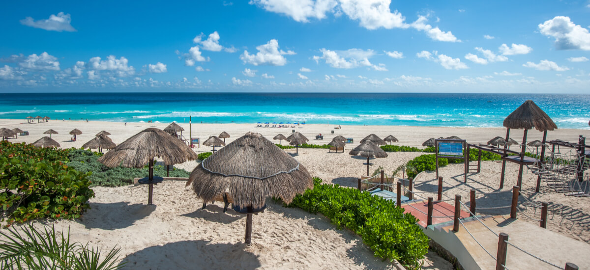 playa-delfines