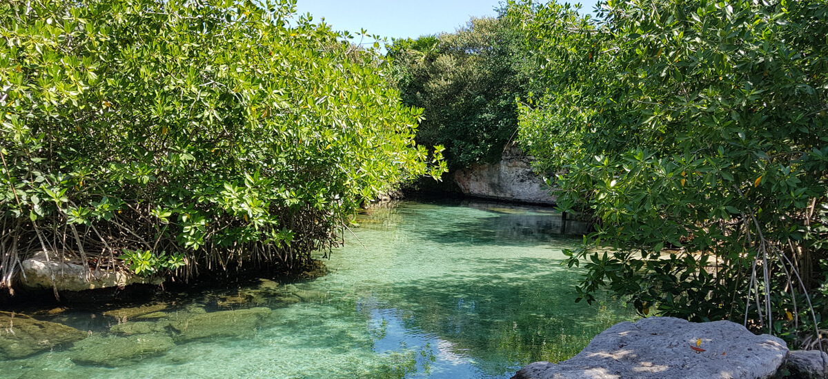 xcaret