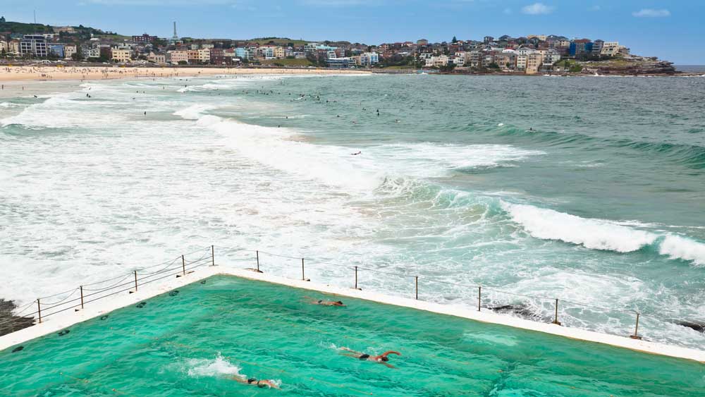 swim bondi