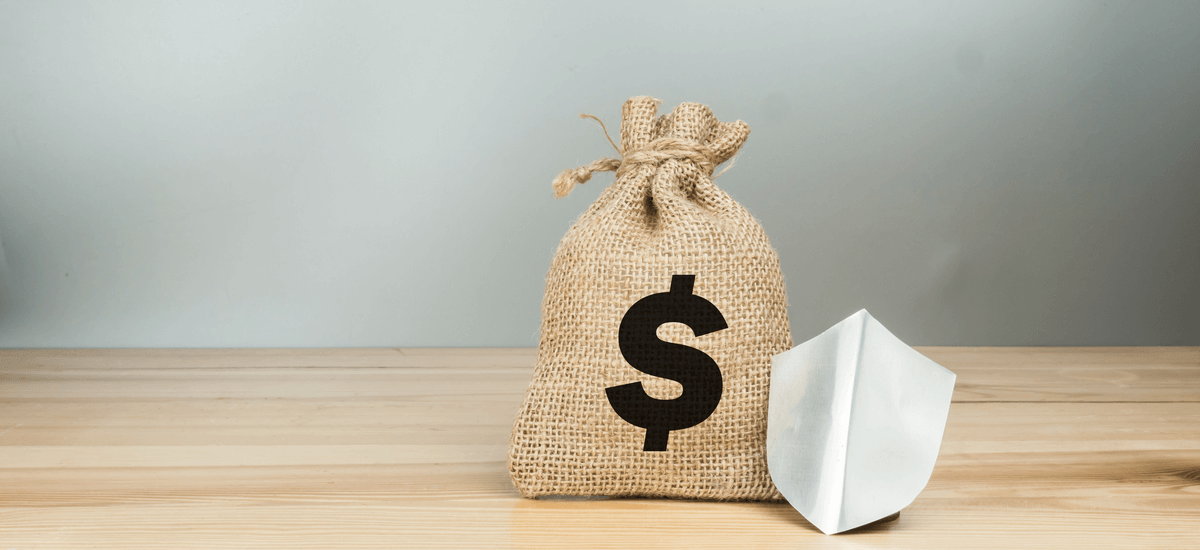 money-bag-with-shield-safety