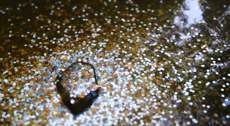 coins