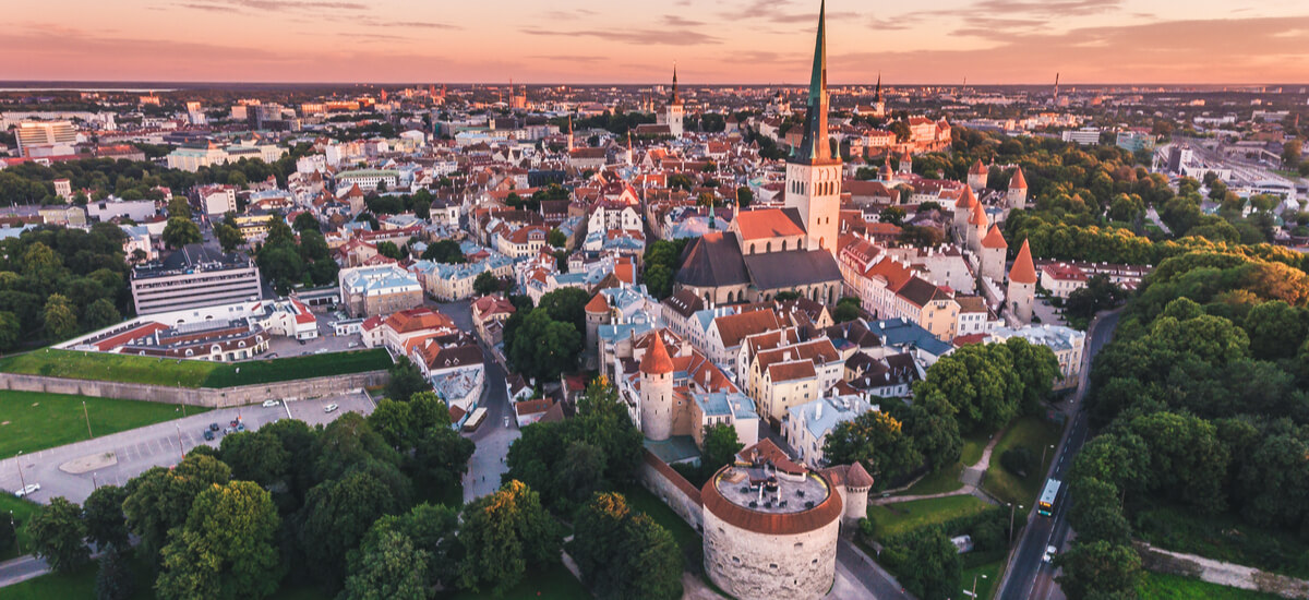 perusta yritys viroon