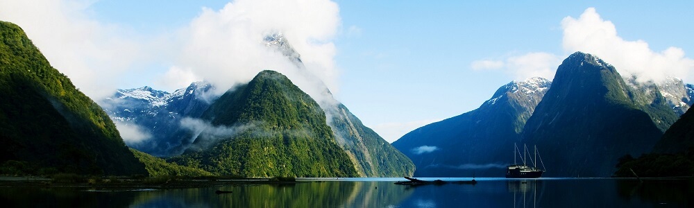 teendoid-uj-zelandon