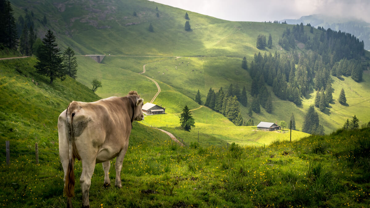 Landschaft in der Schweiz