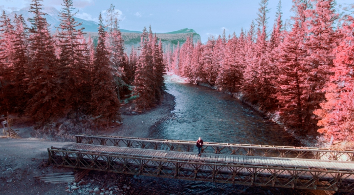 nature/outdoors